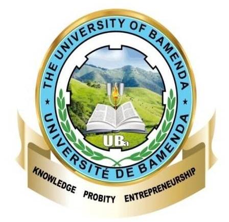 THE UNIVERSITY OF BAMENDA FACULTY OF ECONOMICS AND MANAGEMENT
