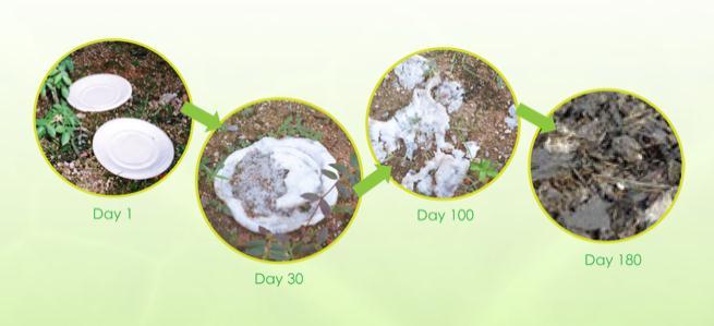 RETURN 2 GREEN SDN BHD Return 2 Green Sdn Bhd has invented the 100% Biodegradable and Compostable Packaging Products made from Agricultural-waste; Sugar