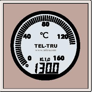 The Industrial Thermometer of the Future.