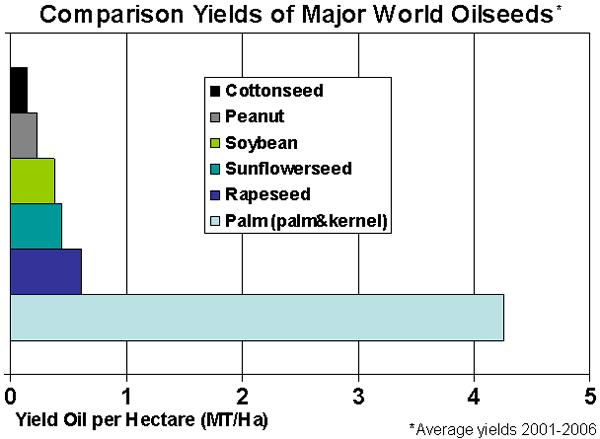 Palm oil plants can produce 4-10 times more oil per parcel of land than other oil crops.