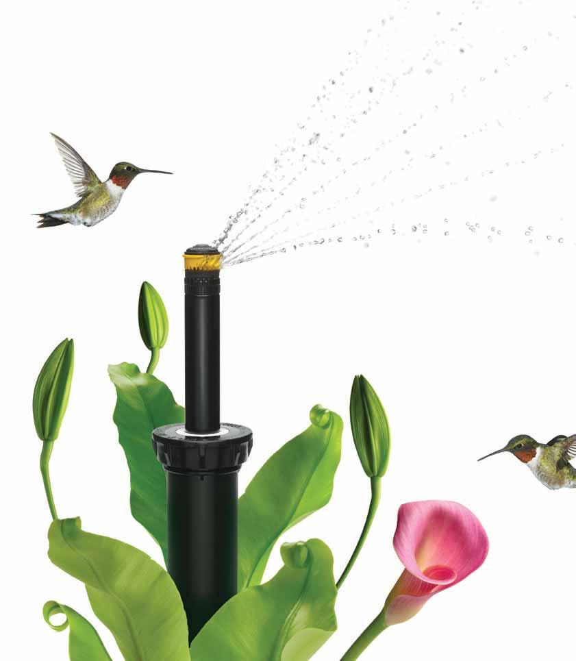 The Intelligent Use of Water Preserving beauty while conserving water. That's intelligent.