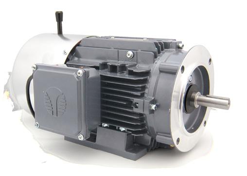 PRODUCT RANGE Techtop motors are designed and efficiently built to deliver premium performance with minimal