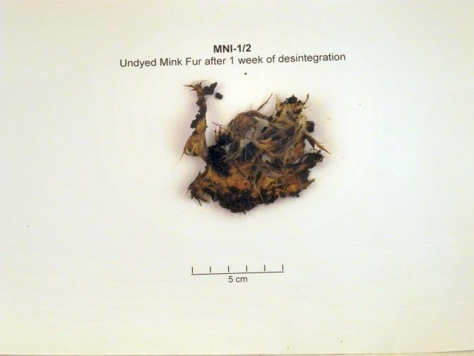 It was seen to that the pieces of test item are completely covered in inoculum. Each reactor contained 6 pieces of test item. The test was performed in duplicate at 37 C 2 C.