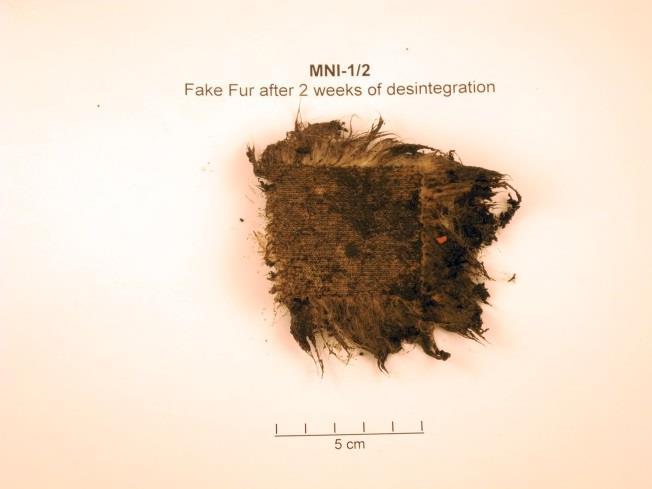 Fake fur after 14 days The sample looked intact, only