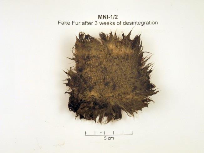 Fake fur after 21 days The sample looked intact, only 