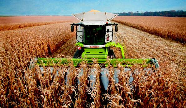 This drive concept offers low-loss, reliable power transmission from the combine to the individual picker units via the drive shaft and transmission. Variable picking speed.