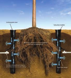 shrub transplant shock Highest efficiency solution for tree irrigation - up to 95% emission uniformity with minimal wind, evaporation, or edge control losses Aesthetically designed subsurface bubbler