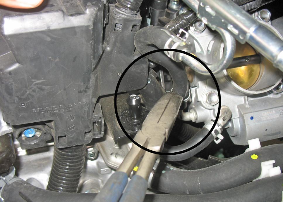 CAUTION: Ensure the engine is completely cool before removing the coolant hose, or hot
