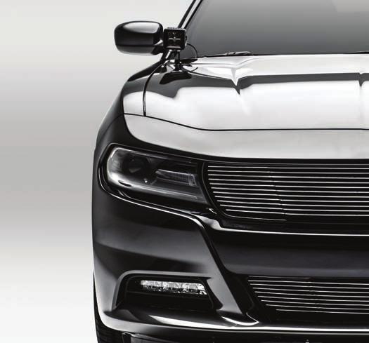 the gap alignments around all edges and in between the new T-REX Grille