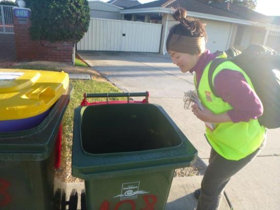 Bin Tagging Phase Bins inspected on first