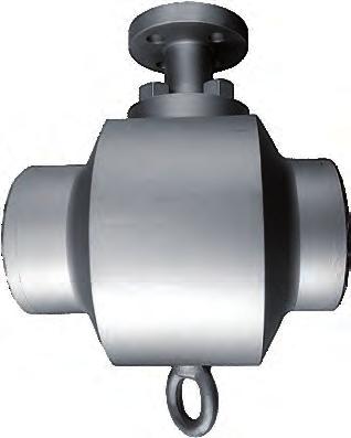 Flangeless (water- style assembly) BW A variety of nozzle dimensions available, no