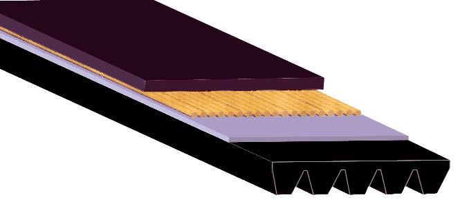 BELT FEATURES MEGADYNE PV BELTS MEGADYNE V-ribbed belts are endless rubber belts with longitudinal V shaped grooves.