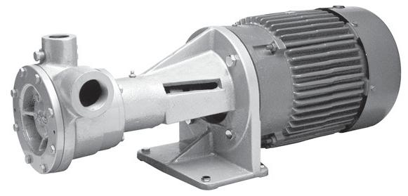 Model Series Selection Guide The Coro-Flo pump is available in a variety of configurations.