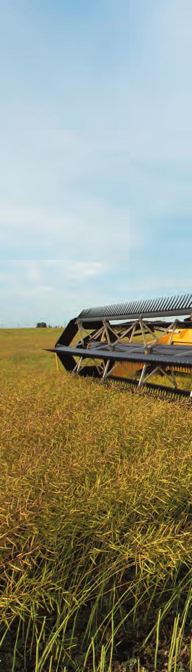 12 13 PRECISION HANDLING AND CONTROL THE SPEED IN SPEEDROWER New Holland s continued innovation has led to an optional three range hydrostatic drive that produces transport speeds up to a