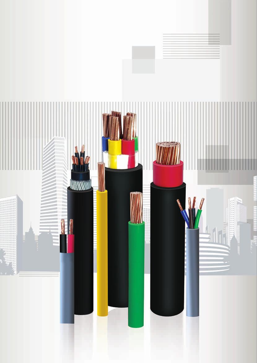 1. INTRODUCTION This publication provides details of the following types of electric cables: a) SINGLE CORE WIRING CABLES, PVC insulated with or without PVC oversheath.