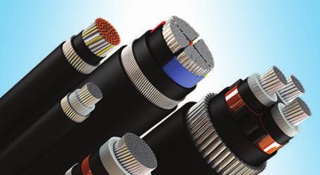 OVER YEARS OF SUCCESS A Brief Profile Pioneer Cables, established in 1980, is an ISO 9001:2008 certified company engaged in the manufacturing of H.T.