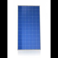 100 W Solar Photovoltaic Module