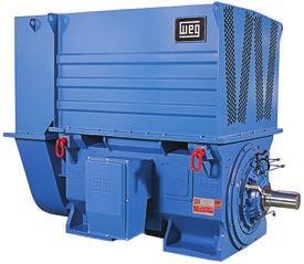 101 www.pamensky.com M Line Medium Voltage Motors Standard Features Rated output: 250HP to 22,500HP Three-phase, 2, 4, 6, 8, 10 and 12 pole, 60Hz Voltage: 2,300 V to 13.