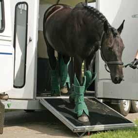 when braking. Too much room can allow the horse to fall over during travelling and be far more tiring.