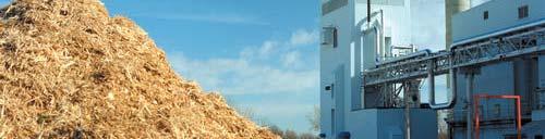 Defn. :Biomass generators that are