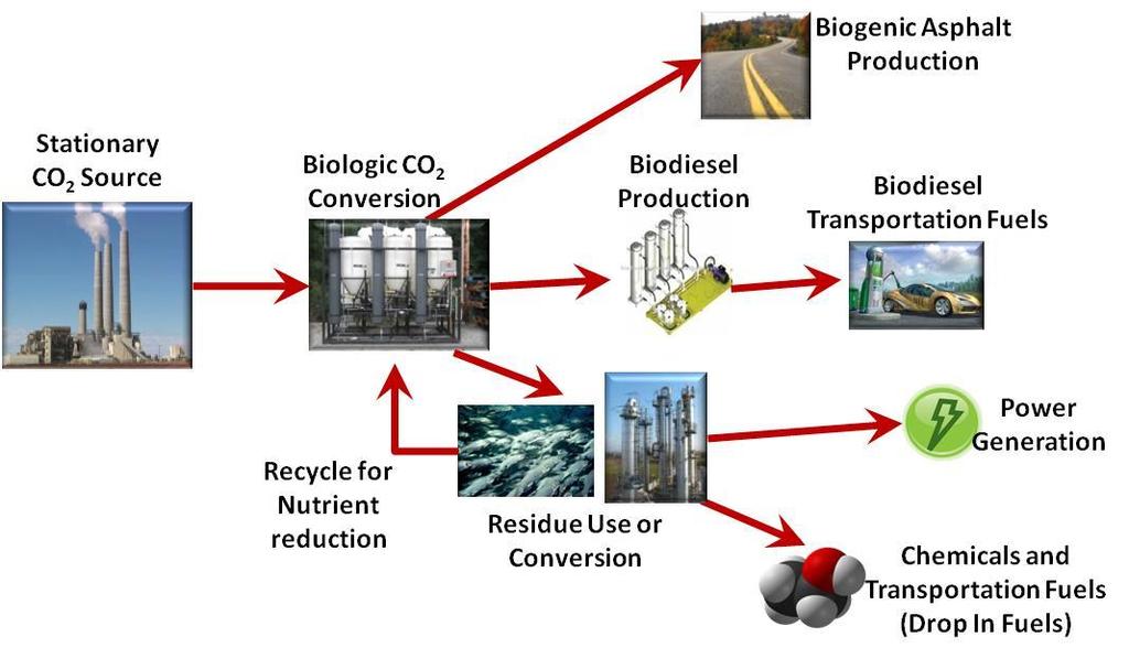 WRI s Chemoautotrophic (CAT ) Process A Biofuel-Based Carbon Emissions Capture/Re-Use Technology Karen Wawrousek, Tengyan