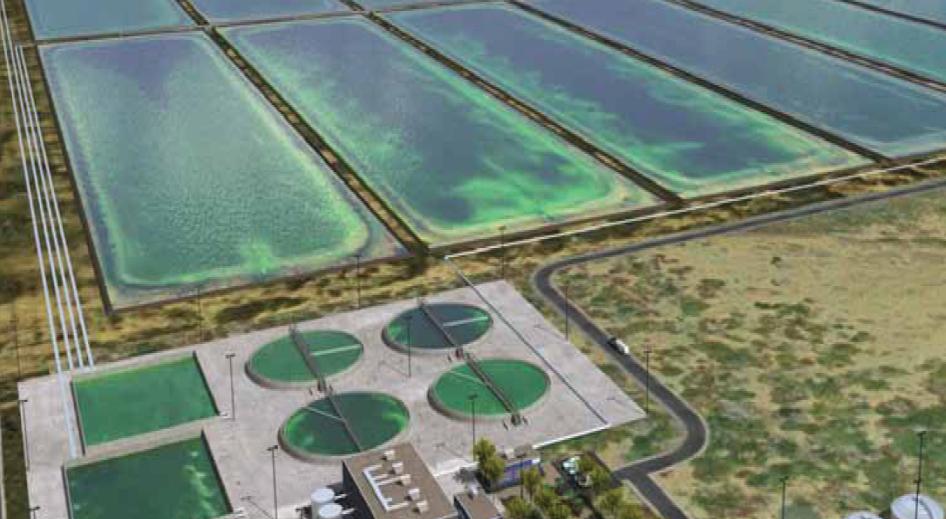 Land and Water Requirements Plant Size and CAT Plant Footprint Estimated land necessary to generate lipids for 1.5 million gallons biodiesel crude Algae-based processes: 300 acres CAT process: 2.