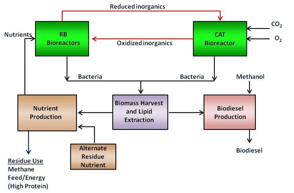 How it Works Chemoautotrophic (CAT) bacteria to fix CO 2 and utilize inorganic material as energy source. Reducing bacteria (RB) reduce oxidized inorganic shuttling materials.