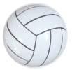 DECO SPORT BALLS Suggested Retail - 7.95 each pkg. Inner Pack - 72 pkgs. Case - 432 pkgs. 227004 Volleyball 3.75 227005 Softball 3.