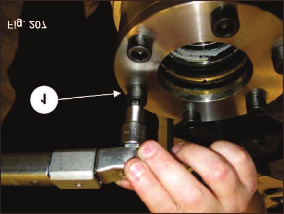 206), tighten them using a torque wrench (1, fig.