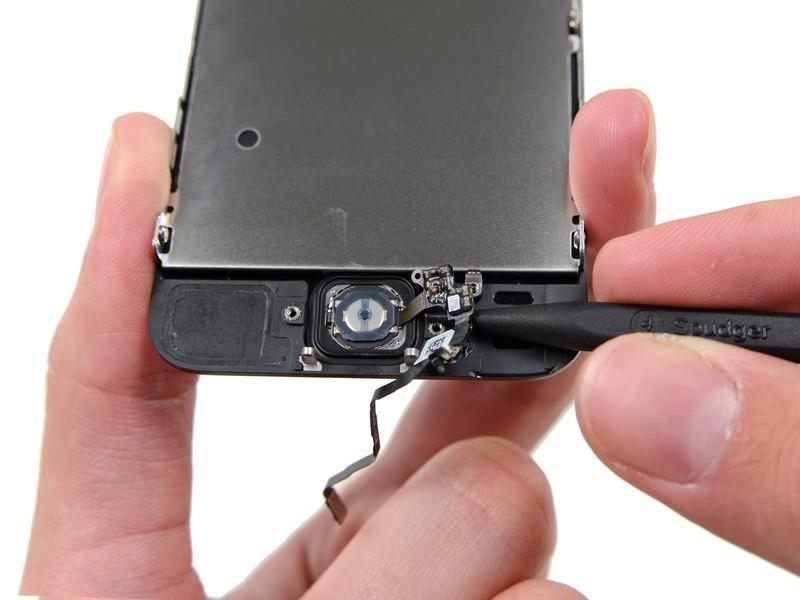 Gently work the spudger underneath the cable to separate the home button cable from the