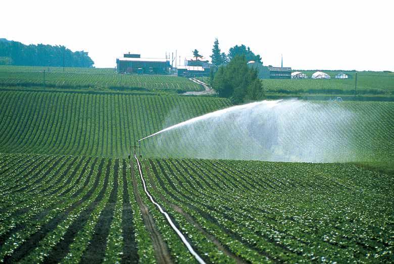 It is fundamental that a gun adapts to every situation while keeping excellent performance in all types of irrigation systems and environmental conditions, also extreme ones.