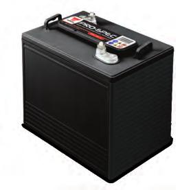 Classic 6V Vehicle Batteries Pro-Spec Deep Cycle Batteries Yuasa Number Voltage Capacity at 20-hour Rate (Ah) Cold Cranking Performance (Amps) EN1 Recommended Charge Rate (Amps) Dimensions (mm) Mean