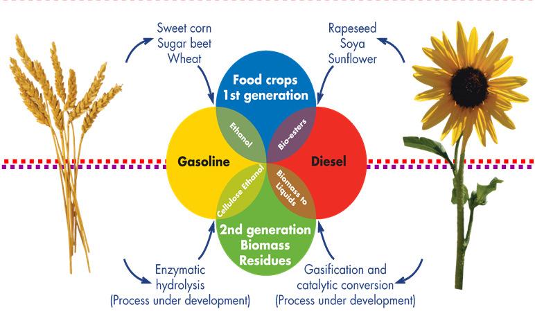 2. Bio Kraftstoffe 1 Typical Biofuels First generation Second