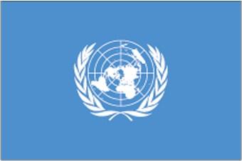 WP1_ UNECE Road Safety Forum The WP1 is the ONLY Permanent intergovernmental body in the UN