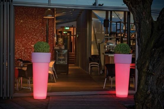 lighting plant containers