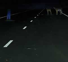 poor headlights Target distances pedestrian 140 feet, deer 220 feet on the high-end Kona illuminated almost 450 feet on the right side of the road in the straightaway test for low beams, but the