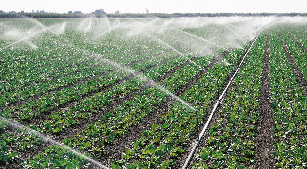 Solar Power Providing Irrigation With our Solar System, Irrigation pumps can supply pressurized