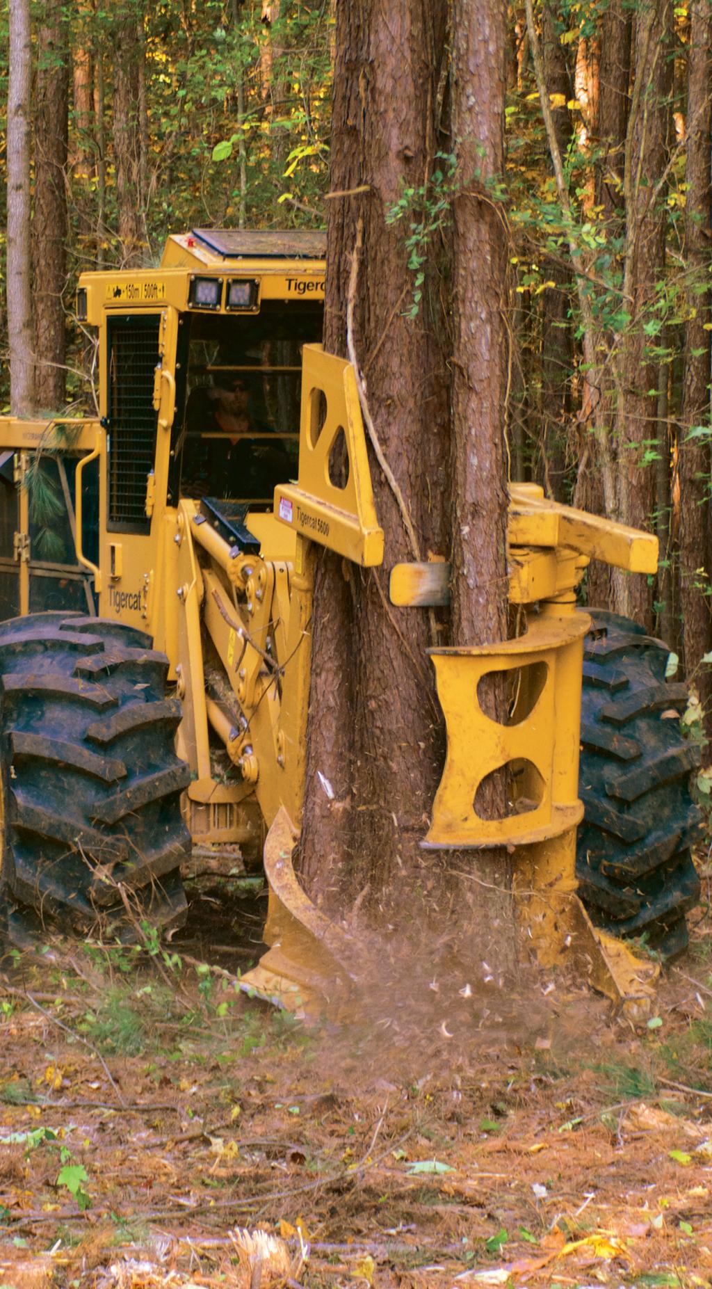 Choosing the right Tigercat felling head can reduce cost and boost the productivity of the