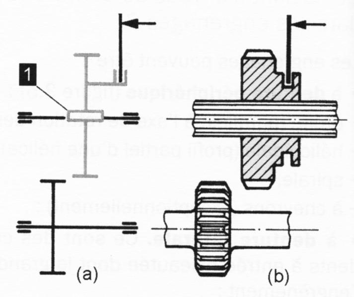 Gear box with spur gears Working principle: Changing the gear ratio is operated by opening the clutch, then by sliding one gear and separating the meshes.