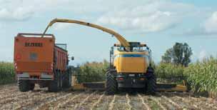 The system automatically adapts engine speed and ground speed of the forage harvester, depending on the actual crop load conditions.