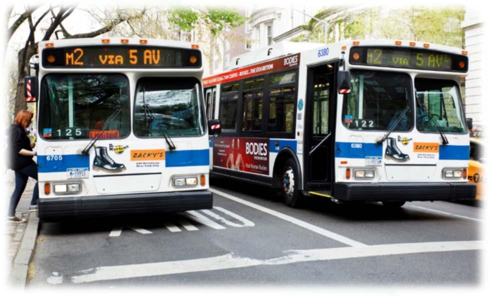 Crashworthiness for Transit Bus