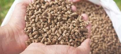 ADVANTAGES OF PELLETED FEED High digestibility The decrease in the lost feed caused by the consuming habits