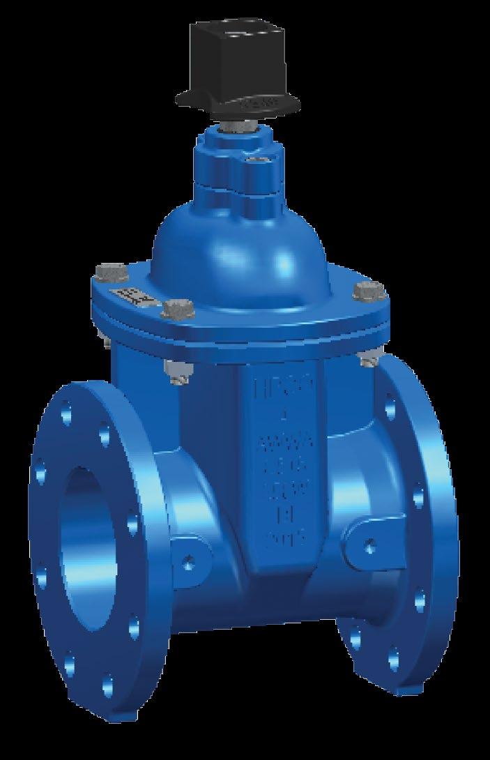 SCOPE OF LINE ISO Resilient Wedge Gate Valve MODEL: ISO-DE Flanged Butterfly Valve SIZES: DN100 through DN1800 PRESSURE CLASS: PN10 (10 bar) or PN16 (16 bar) BODY STYLE: Short (ISO-DES) and Long