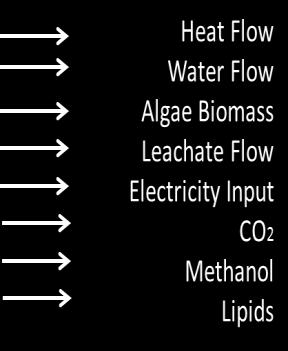 The CO 2 available from electricity conversion will also aid in algal growth, if autotrophy is found to be the optimal metabolism.