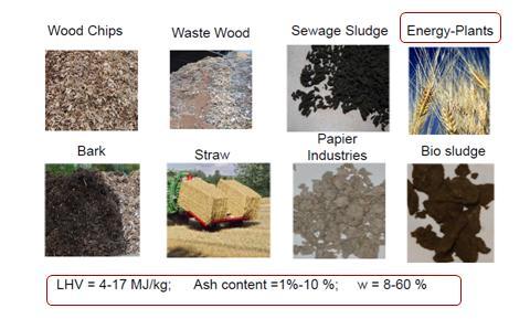overview of common solid biofuels. Biomass ash consists mainly of the elements calcium (Ca), silicon (Si), magnesium (Mg), Potassium (K), phosphorus (P), and sodium (Na).