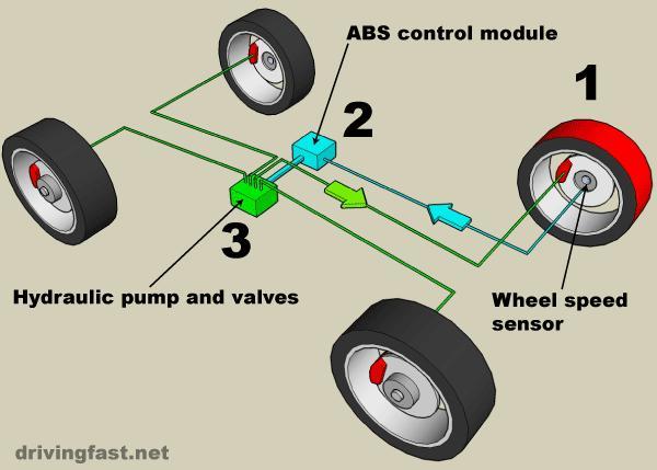 7. There are both and / components in each ABS system.
