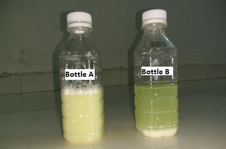 Then bottle was stirred properly for around 5 to 10 minutes. Then emulsion obtained using span 20 as surfactant (Bottle A) was checked for stability. Fig.
