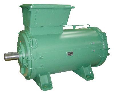 Enclosed Induction Motor