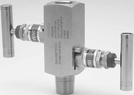 Gauge Valves Block & Bleed Valves Hard seat, 316SS, 1/2 NPT Overview Gaugetech Block & Bleed Valves are supplied in 316L stainless steel.
