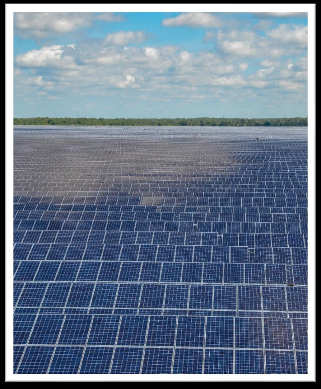 Florida Municipal Solar Project One of Largest Municipal Solar Projects in the U.S. 12 FMPA members participating Three 74.5 MW sites, 223.